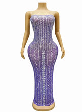 Load image into Gallery viewer, ACADIA Mesh Long Dress
